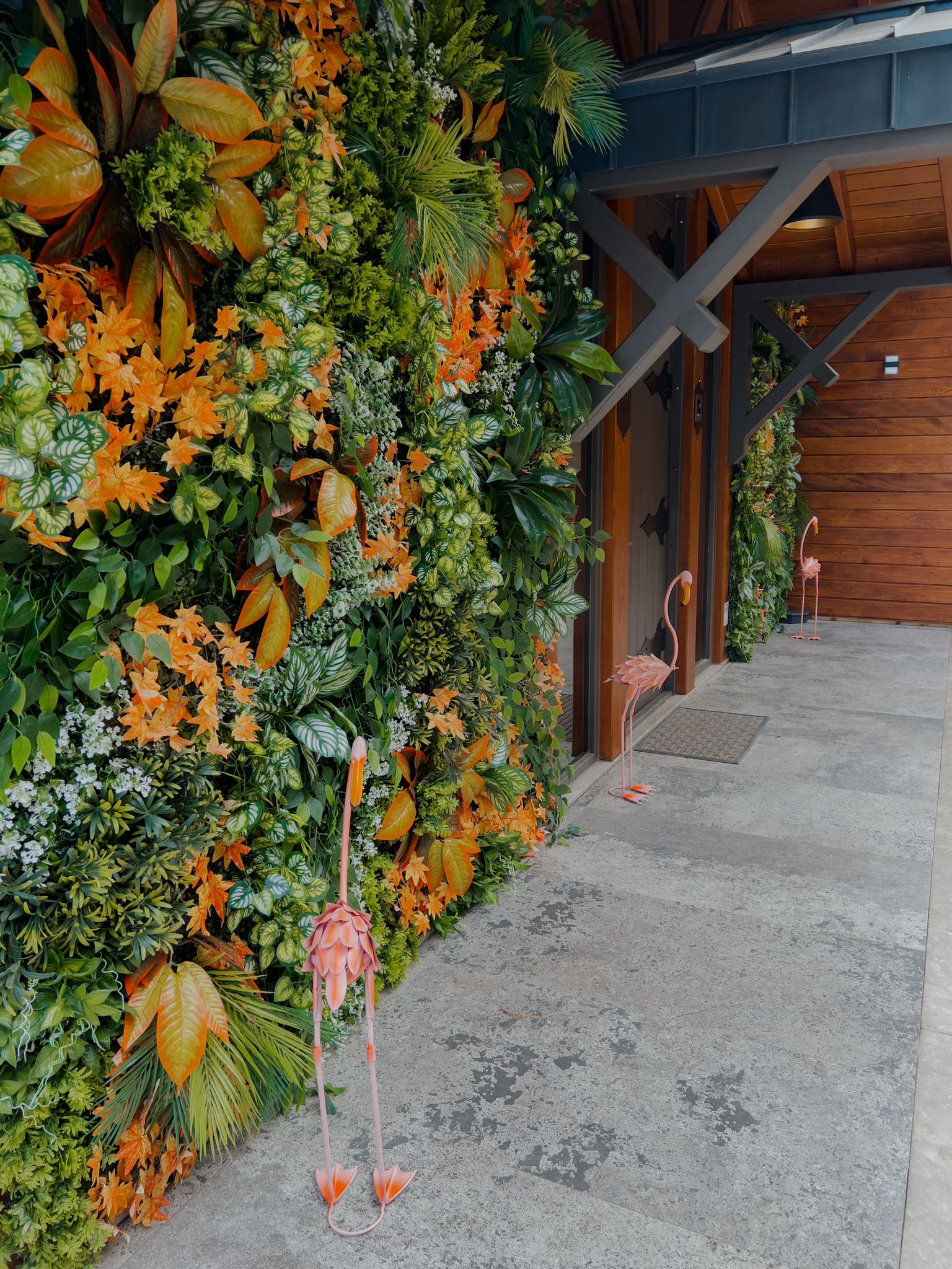 صورة داخلية